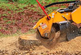 Best Emergency Tree Removal  in Goodyear, AZ